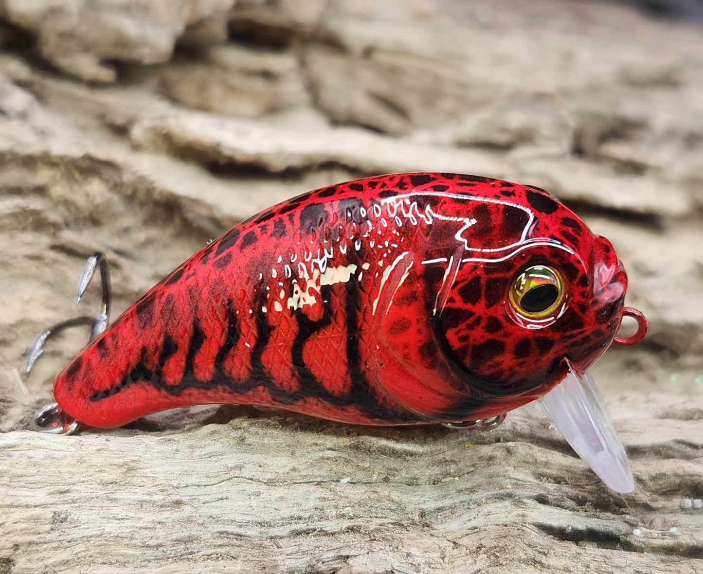 Bass Pro XPS Egg Wake ko