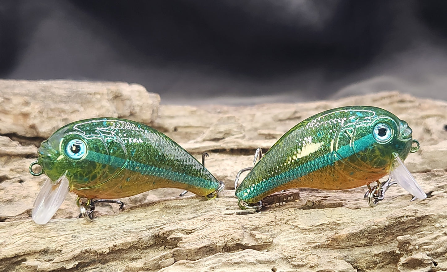 Bass Pro XPS Egg Wake ko