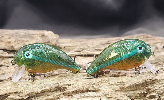 Bass Pro XPS Egg Wake ko